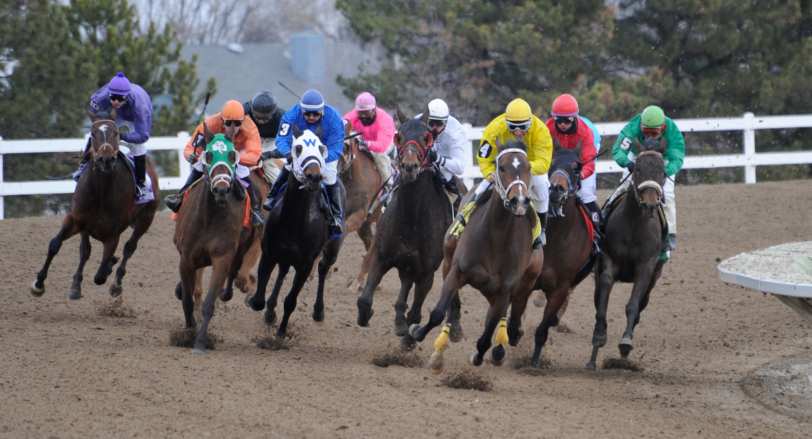 Equestrian Market Demand Opportunities